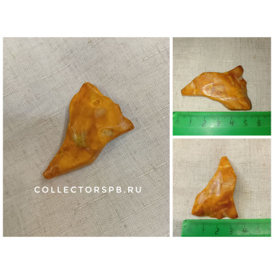 Кусок янтаря. Размер: 5,5 х 3,5 см. Вес: 11,07 гр.
