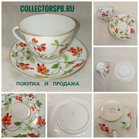 Чайная пара (чашка, блюдце). "Барбарис". Фарфор ЛФЗ СССР. Ручная Роспись. В отличном состоянии. 